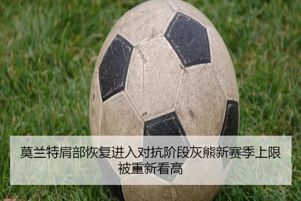 莫兰特肩部恢复进入对抗阶段灰熊新赛季上限被重新看高