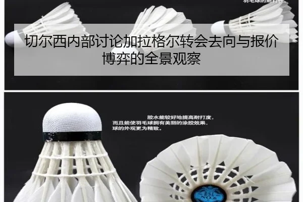切尔西内部讨论加拉格尔转会去向与报价博弈的全景观察
